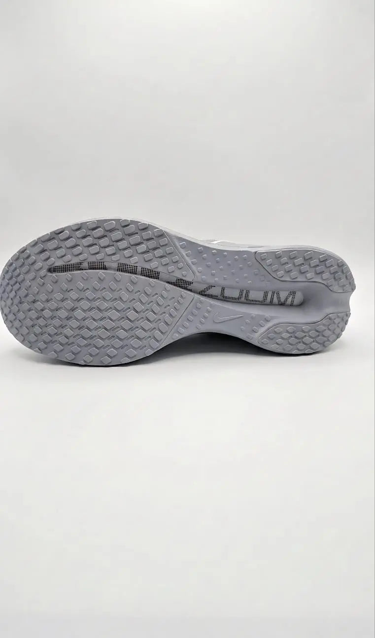 Nike Pegasus Premium